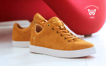 
      Sneaker Baron Papillon Basse velours curry
  