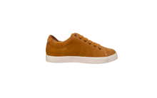 
      Sneaker Baron Papillon Basse velours curry
  