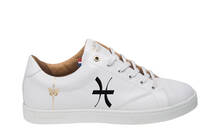 
      Sneaker Baron Papillon Basse Poisson
  