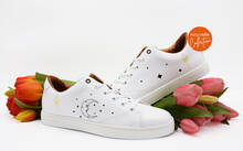 
      Sneaker Baron Papillon Basse Pierrot la lune
  