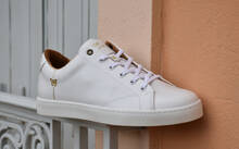 
      Sneaker Baron Papillon Basse blanche
  